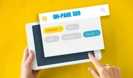 Bir Web Sitesi Sayfası için SEO Paketi (sayfa içi seo)